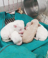 ���׾���վ���ָ�����С������������������