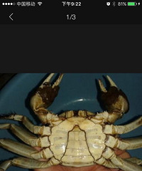 ���������ġ��⳵ƨ�ɸ��з�����ǲ�������