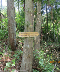 ̽�ô���ɽ���ƹȾ���