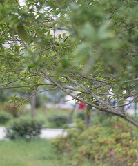 �������ճ�2-38���㳡�����