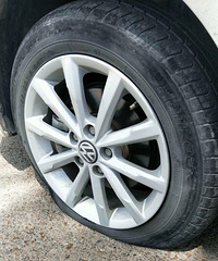 �õ�ù����������̥���ˣ��Ҷ�������