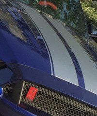 ���������ġ��۾��߱�־��ɶ����