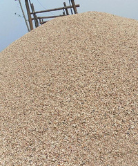 ����������ˮɳ�ģ���������ô���ۣ�