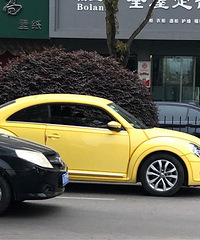 ���������ġ���ϲ������yellow С��