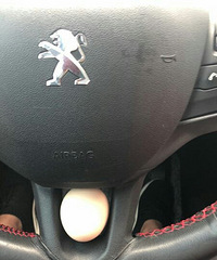 �������Եļ���Ѱ�˸���λ�ӣ�Ҳ��֪���Ŀ������