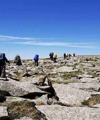 ÿ�˵����ﶼ��һ�������Σ�Ʃ��������ɼ�����̫......