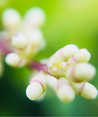 ���۸��᡿�������������Ҫ����������ʲô��