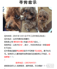 Ѱ������ ������̩�� 2019��5��5�� ����ͷ������ ��ʧ