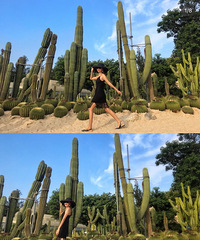 ��һ���ŵ�wanghong���֮��