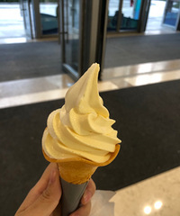 ������һ������Ҳû�����壬��ȥ������ɸ��ó�