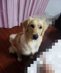 ��ë�����֡�