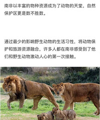 王者沦落