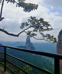 �������ɾӾ����������ξ����Σ�̫�����ˣ�