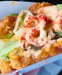 ����һ����Ҳ��������