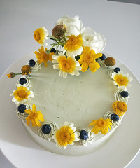 ĸ�׽��ʻ����⣬ϲ������Ϊ��һ�ͷ�ææµµ�ĸо�