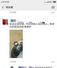 ���۸��᡿�������ܱ���������¡�����彡����