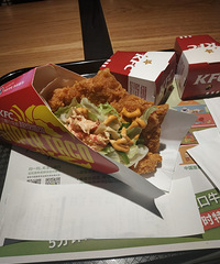 ��ѵĸ�������л19¥