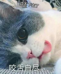 2019年第十次相亲 咱什么都不知道,咱也不敢问
