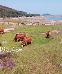 ��̽�ٺ���ɽ�������� ��̬������ĺܺ�