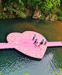 ��ط����ʺϱ���