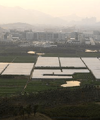 ����������뵺������̨�ݡ�������Ȼ���ˣ�ȴʧȥ�˺ܶ���Ȥ