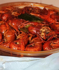 ���۸��᡿��Ϻ����ơ�ƺȻ᲻���ж���