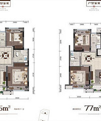 �����������ĸ���