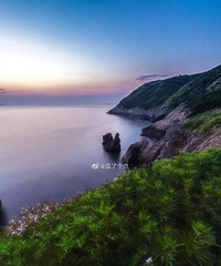 温岭多地惊现大面积“蓝眼泪”,瞬间被美哭!