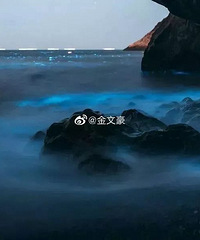 温岭多地惊现大面积“蓝眼泪”,瞬间被美哭!