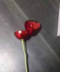 520专场 爱的初心玫瑰花