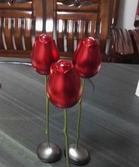 520ר��  ���ĳ���õ�廨