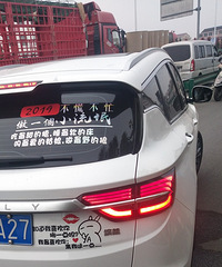 这辆车的车饰文化就很耀眼,这车饰文化如何……