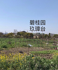 董家洋是未来五年椒江区新楼盘最值得投资及自住的,没有之一
