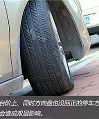 10��Ű����Ϊ��Ű���˻��������5�꣡