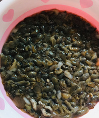 踏寻儿时的味道,宁海一市小海鲜—望潮