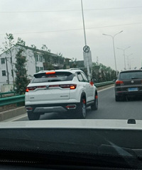 �����������ĸ����Ӷ����ź�ɫ�ʴ�����Խ��Խϲ��