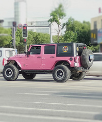 ��·�ϣ����ٴ�ż��������ɫ����