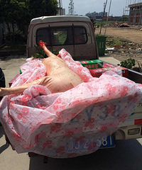 ����������ϰ�ס�����ϸ