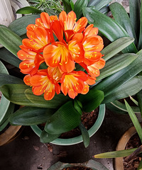 ���۸��᡿����ɫ�ܱ���������