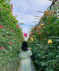 91��MM����155���̿ͷ� ���ڵؽ���