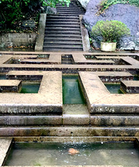 ���ó����м���ʲô����