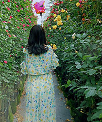 91��MM155���̿ͷ�