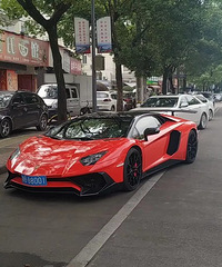 ���������ġ����޵ĺ�ɫ�ܳ�