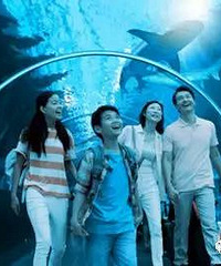 快乐海洋,与你“童”乐!更有年卡八折优惠来袭!