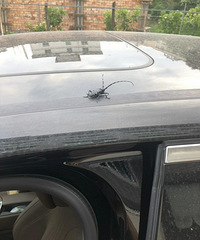 ��������λ��磬�ڳ���������50�������·��