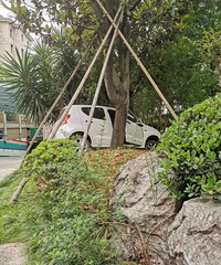 ���������ġ������Ů˾��