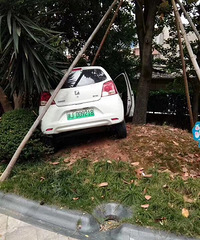 ���������ġ������Ů˾��