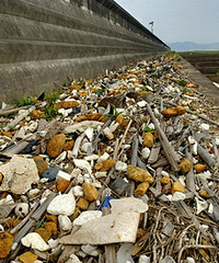 ������̲��Ƭ����û��������