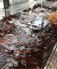 虾肉很紧致,蘸着酱吃,这顿胖的也心甘情愿吧