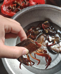 ����С��Ϻ�����ѣ�����С��Ϻ��ϴ�����